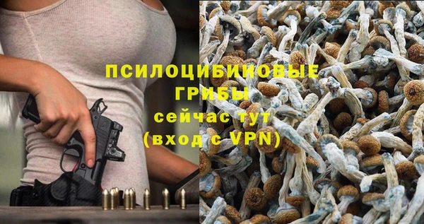 прущая мука Сатка