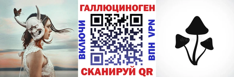 Псилоцибиновые грибы мицелий  Пойковский 